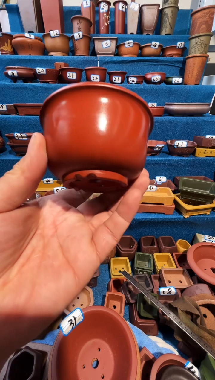 【闪购商品】紫砂紫砂花盆7.5*5