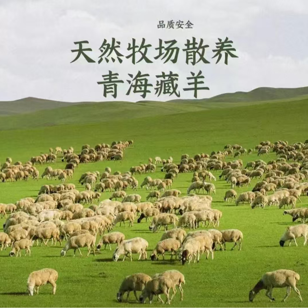 天峻藏羊肉整羊36斤半羊18斤草膘全国顺丰包邮整扇70%腿排