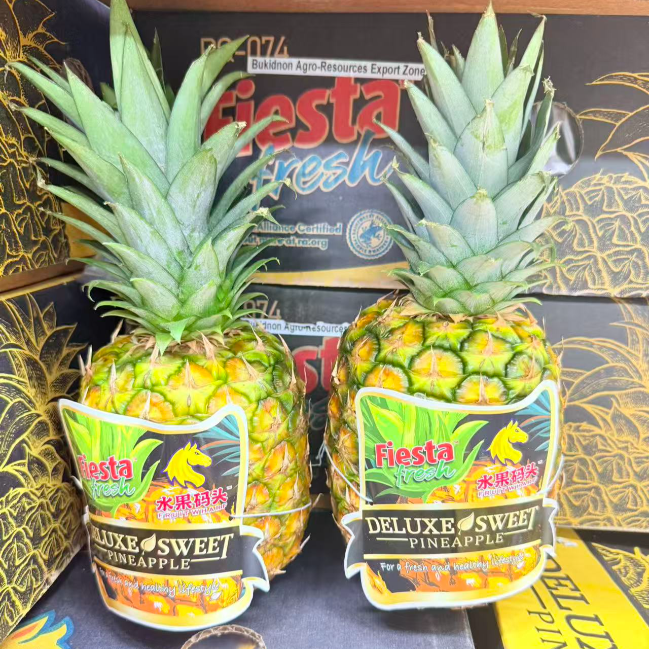 【蜂蜜凤梨】黑金蜂蜜凤梨/菠萝顺丰包邮