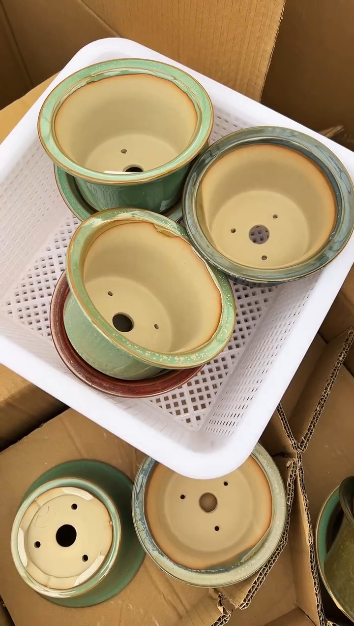 小*54号2个微瑕的