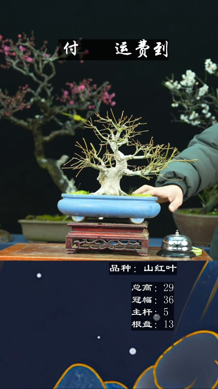 【闪购商品】无铅玻璃232585