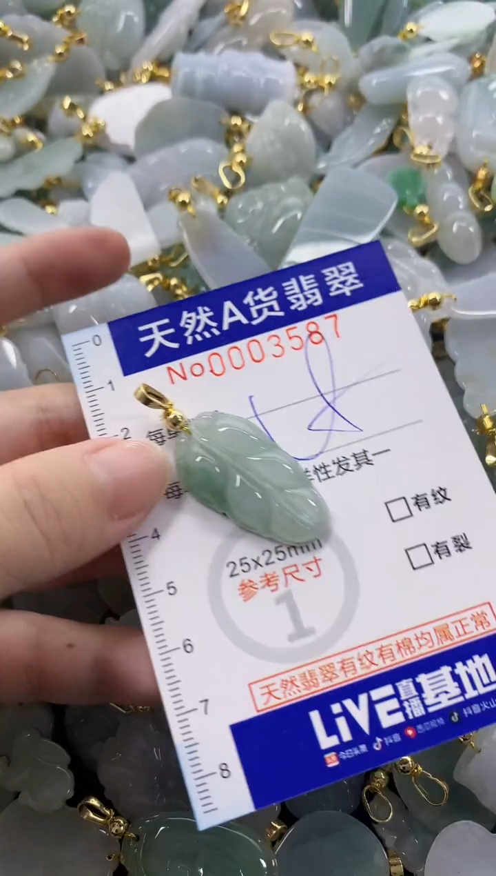 颈饰未镶嵌翡翠天然A货翡翠