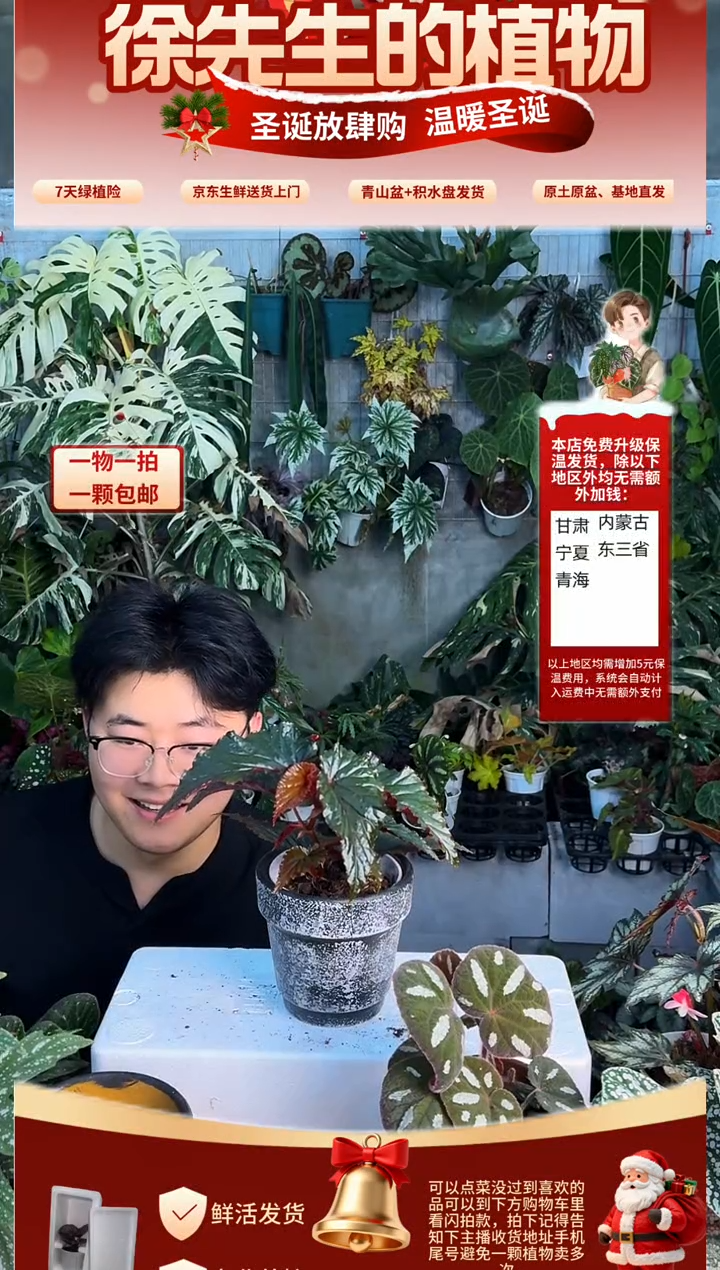 完全开放阿拉伯日落小