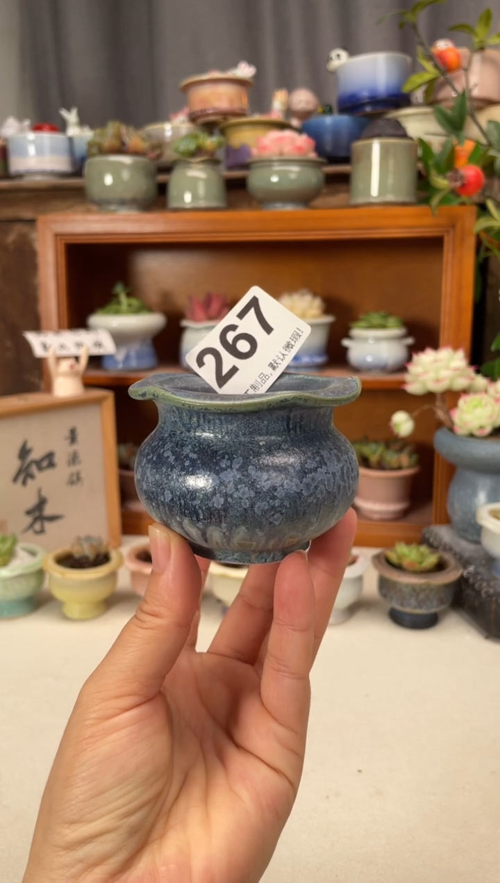 瓷片267微瑕知木小芳花盆