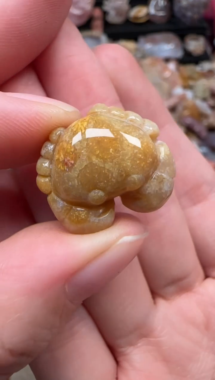 颈饰未镶嵌硅化珊瑚（珊瑚玉）789