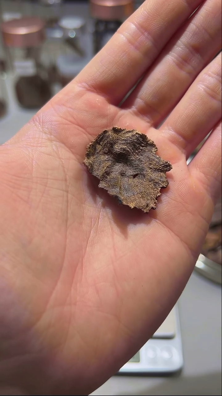 【闪购商品】沉香手把件海南沉水丁壳料1g