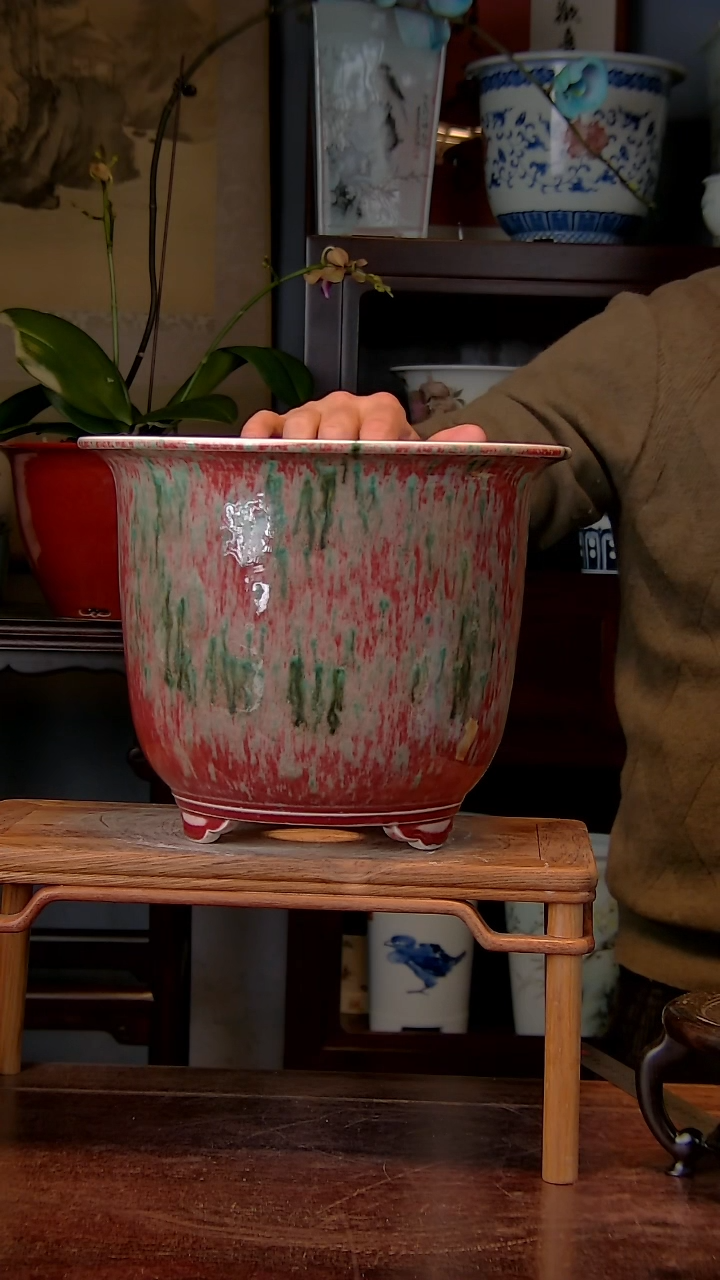 【闪购商品】红陶1