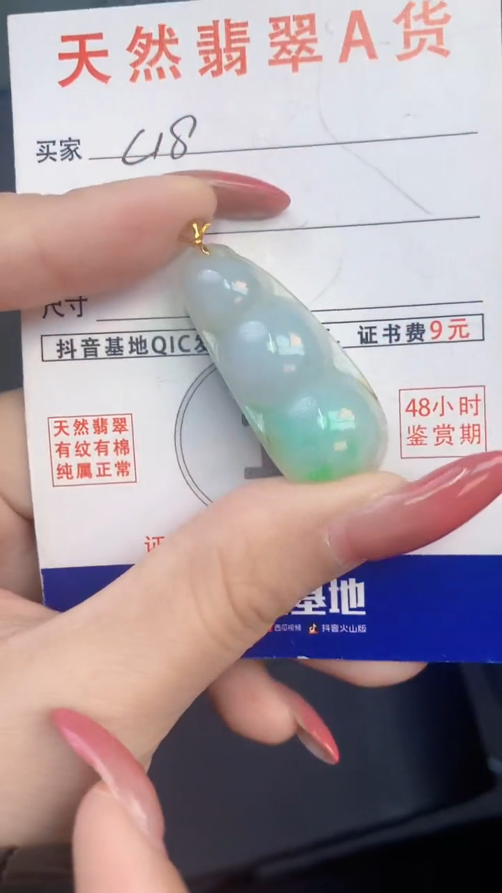 颈饰未镶嵌翡翠天然A货翡翠挂件