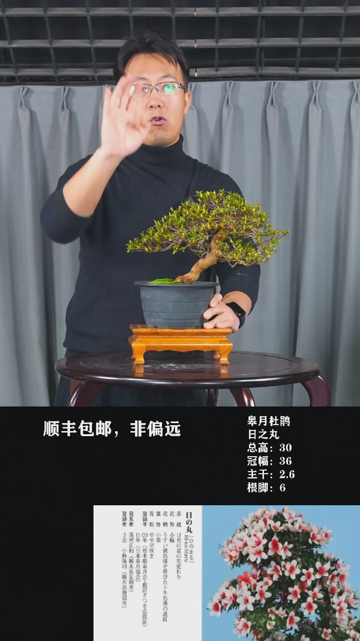 【闪购商品】-日之丸-T57