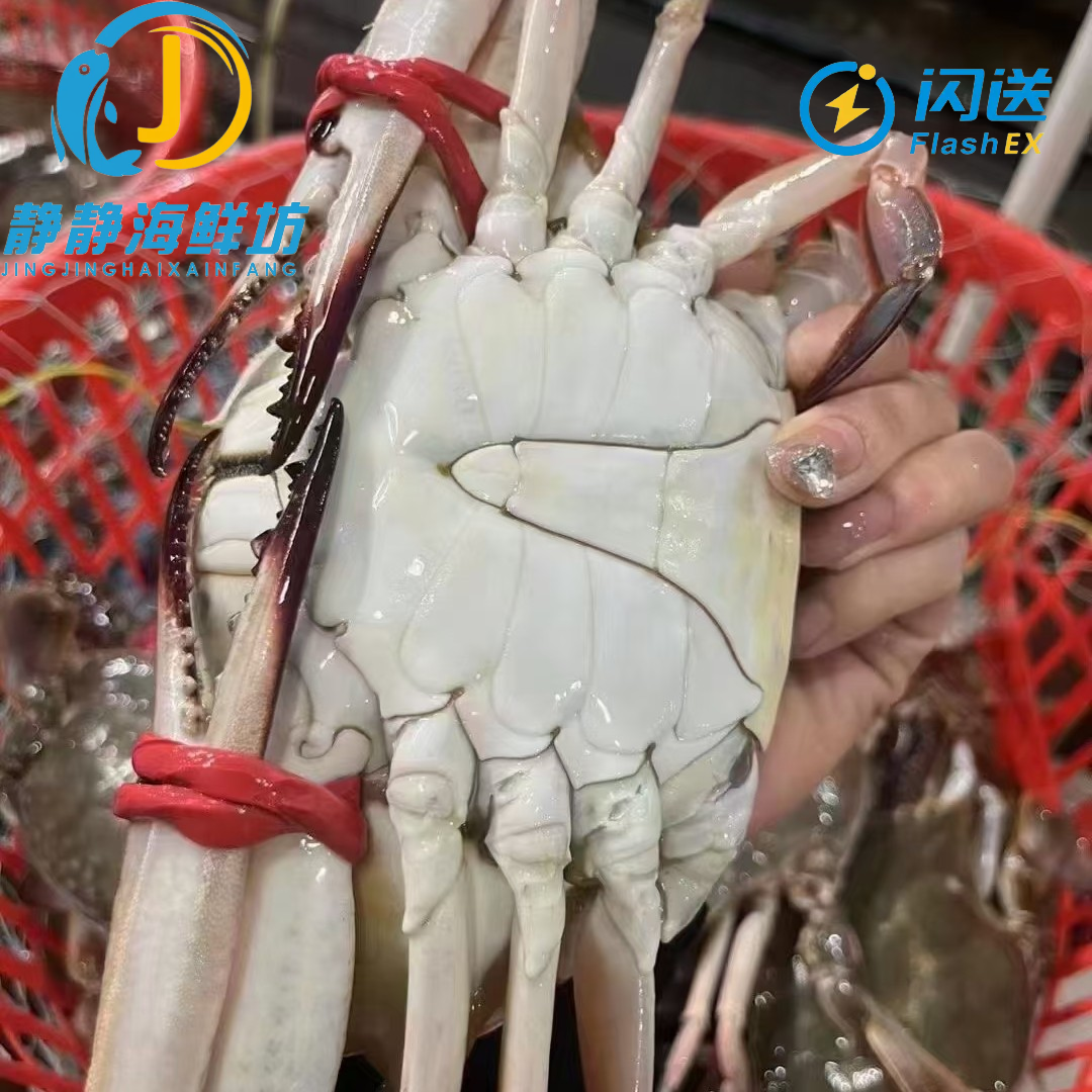 【推荐】鲜活海捕梭子蟹3-4两/只一斤3个【保鲜不保活】梭子蟹同城