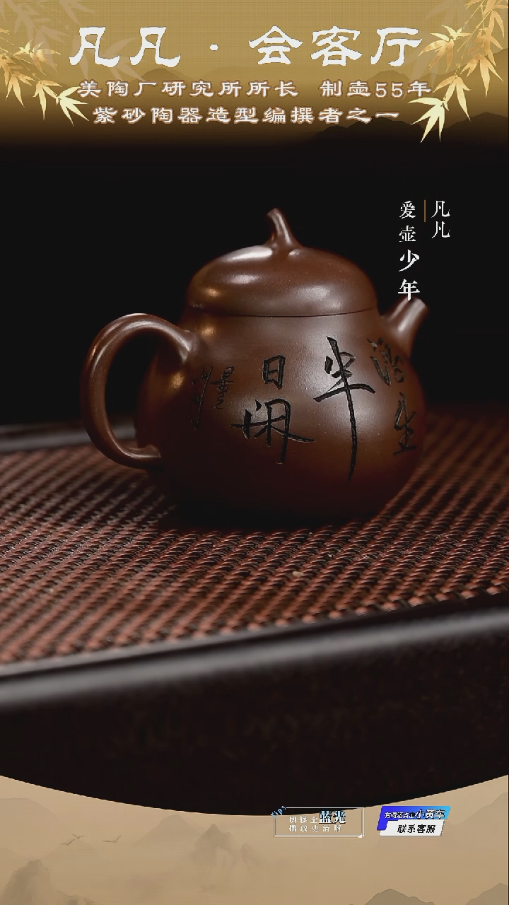 茶壶紫砂凡凡会客厅 紫砂壶02 茄瓜紫泥200cc