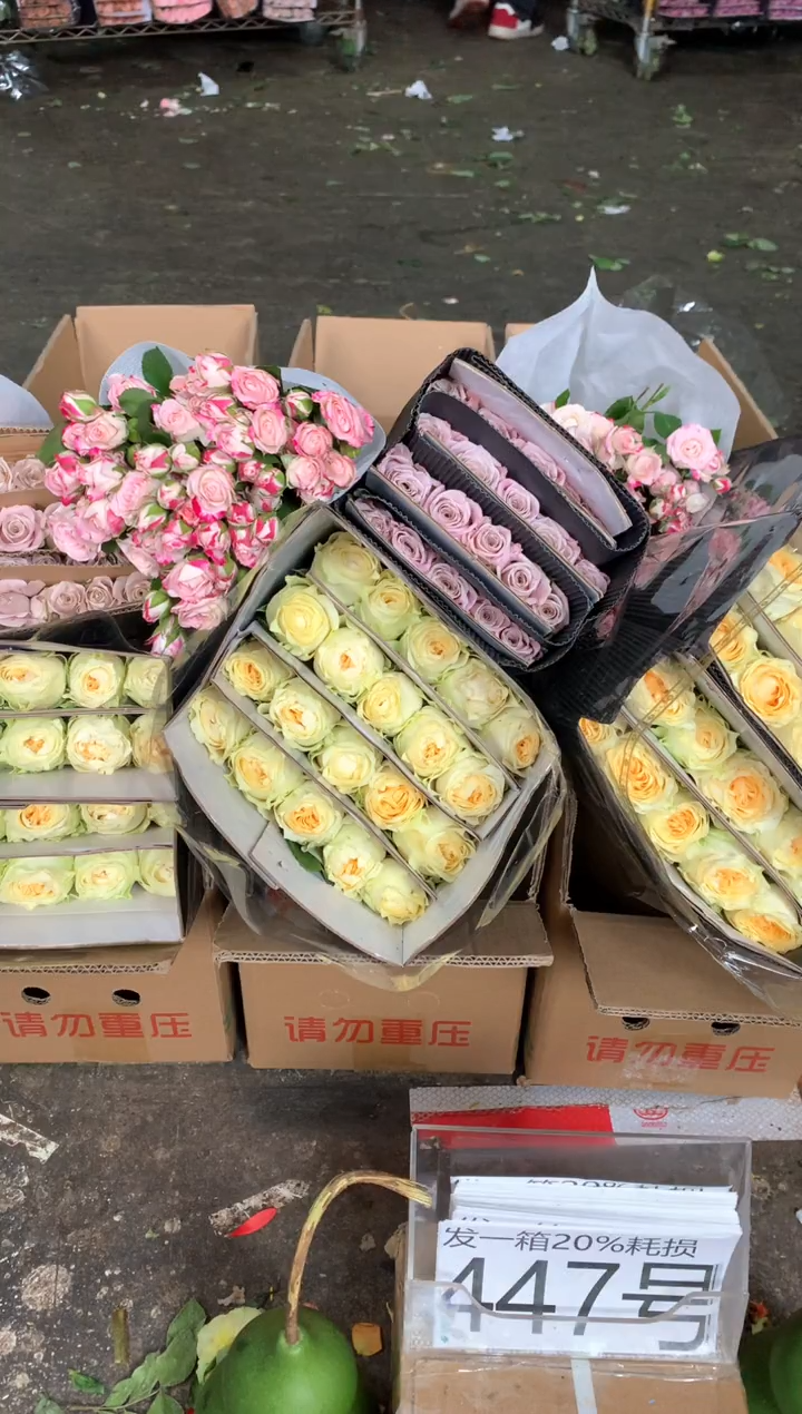 447号♥含20%耗损发一箱