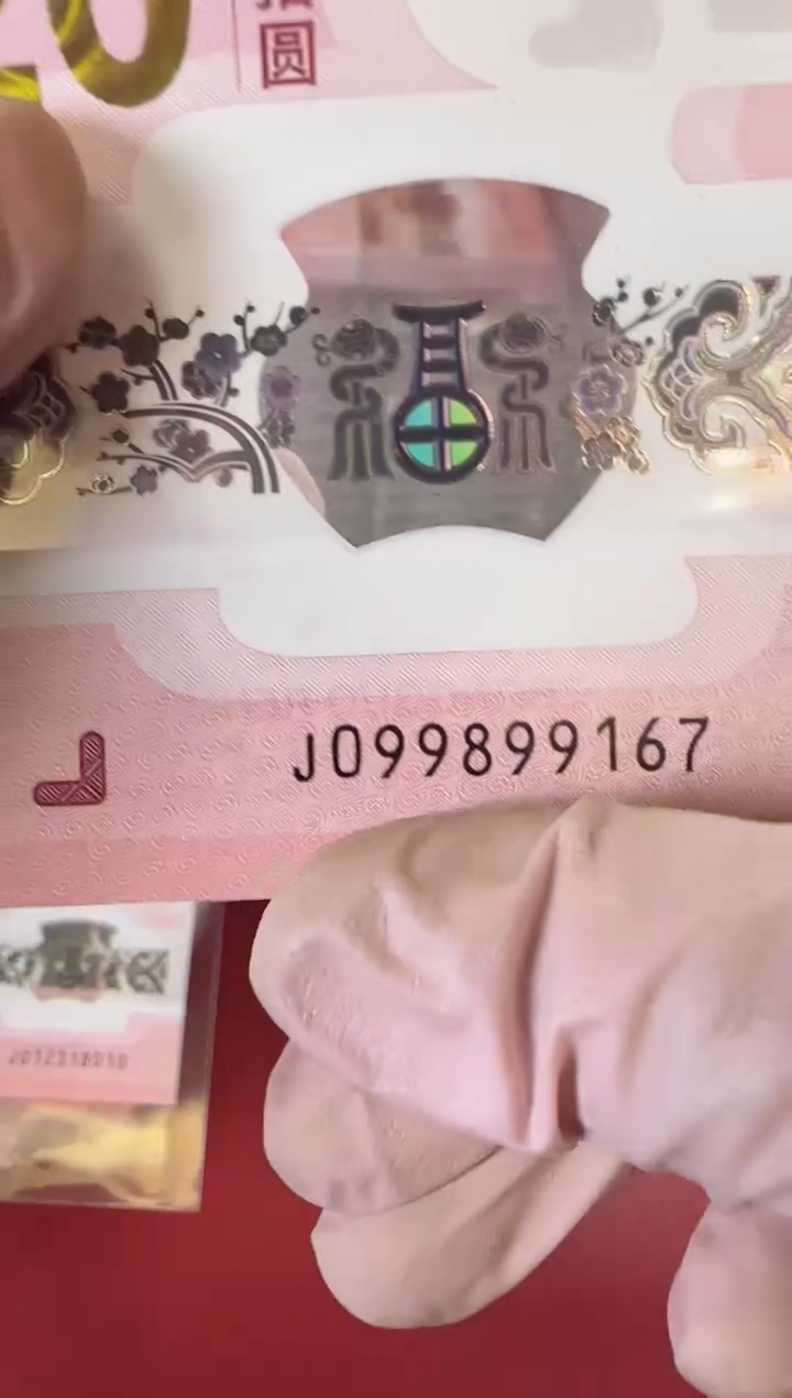 【闪购商品】塑料2025蛇钞啊啊啊啊啊单张