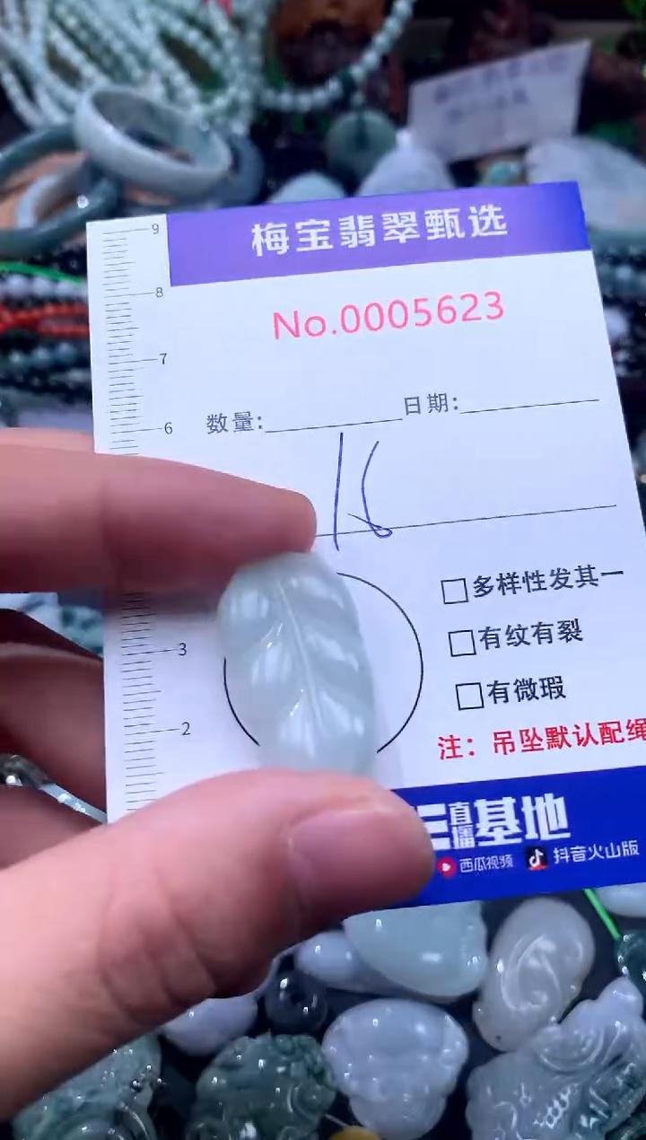 颈饰未镶嵌翡翠翡翠A货 多样性发其一