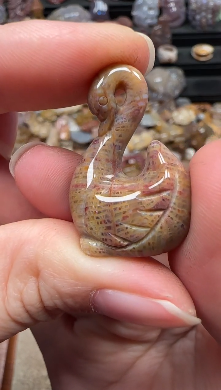 颈饰未镶嵌硅化珊瑚（珊瑚玉）240