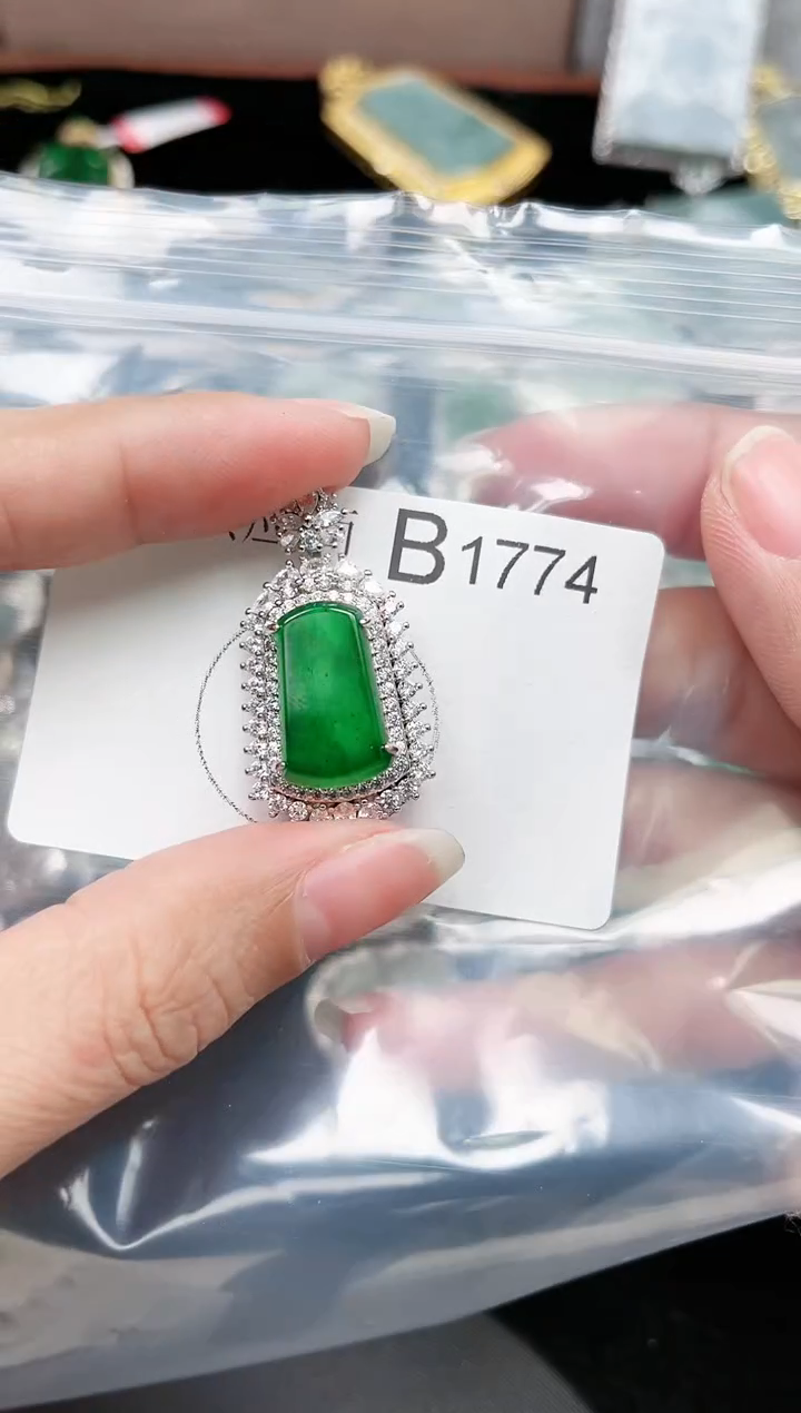 【闪购商品】翡翠颈饰未镶嵌1774赠皮绳