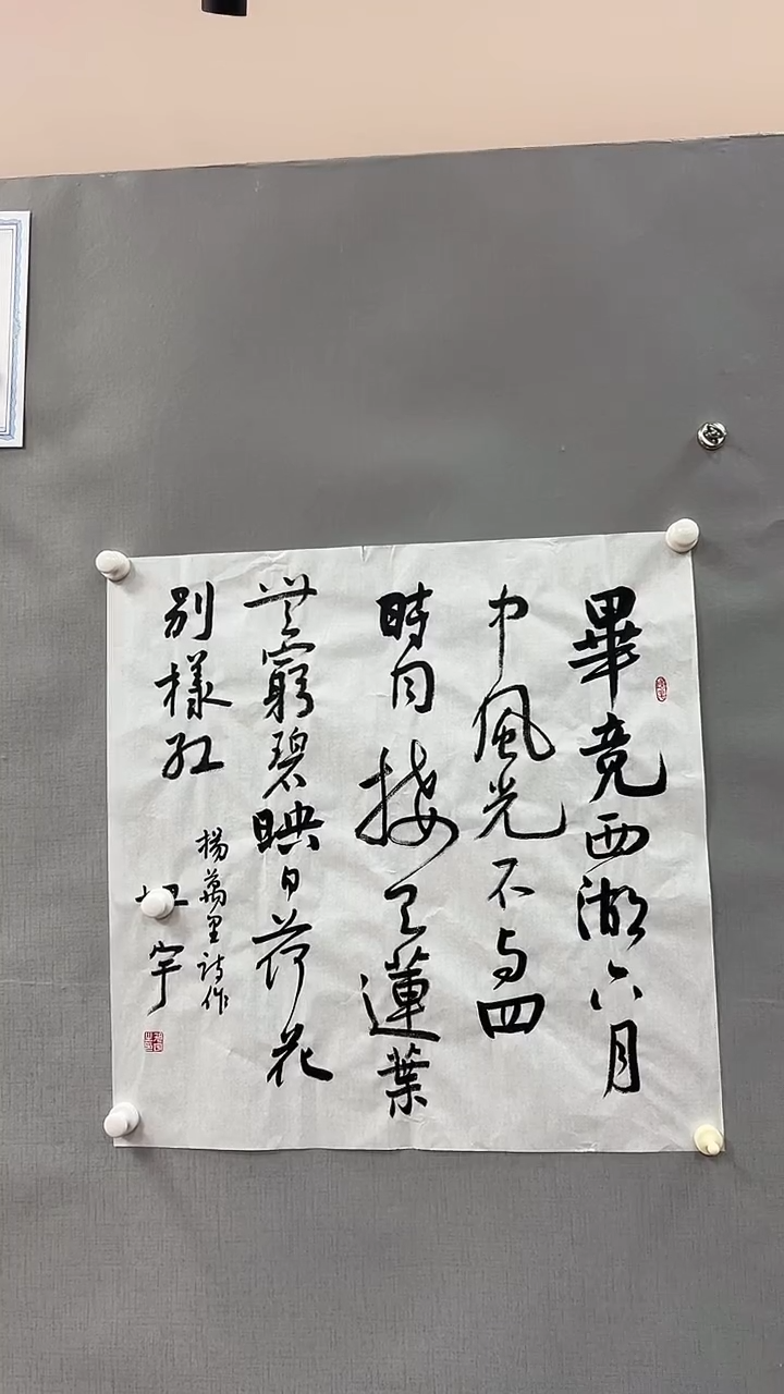 【闪购商品】书法雅艺典藏文化书法