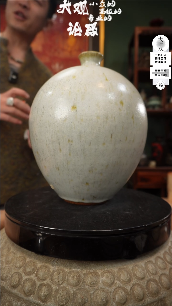 【闪购商品】瓷片大观论器花瓶