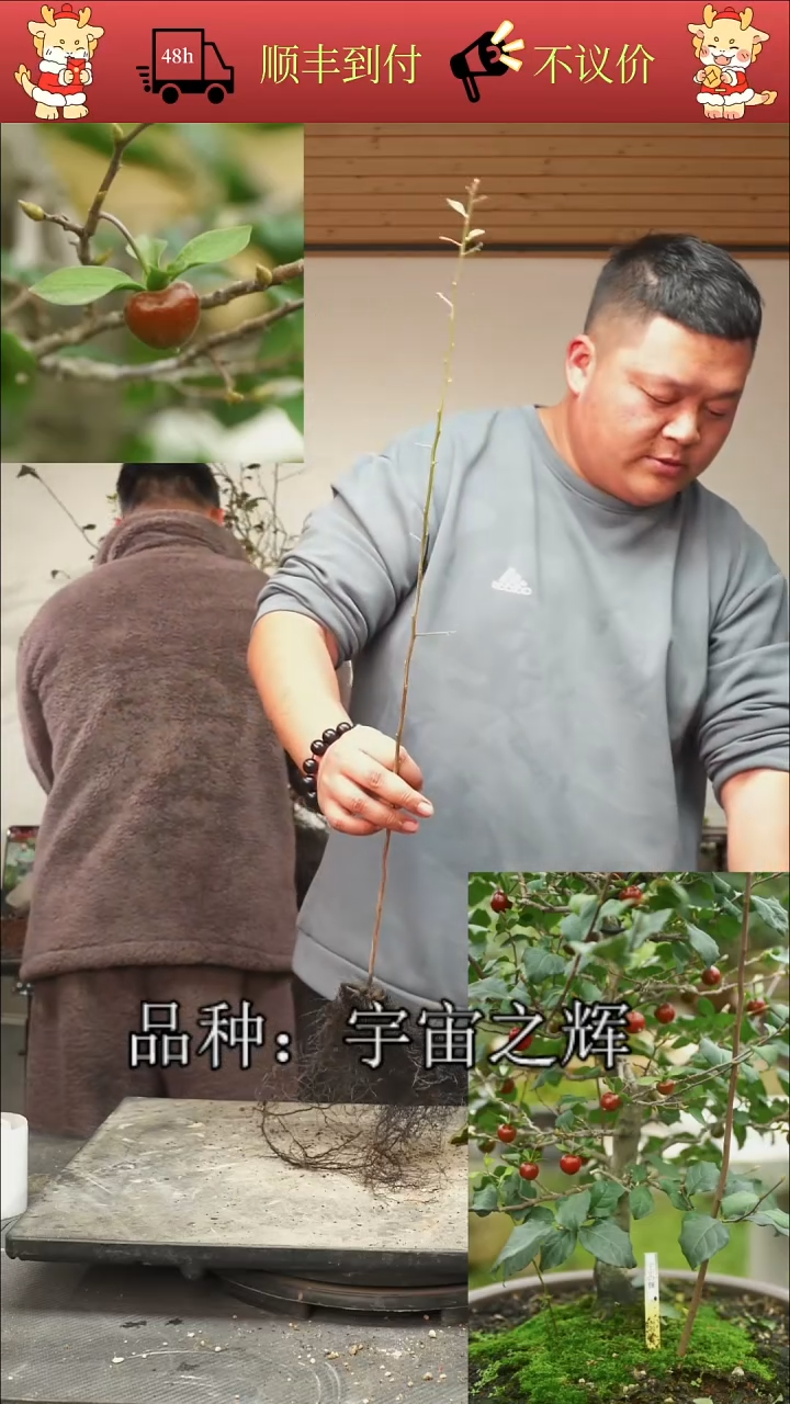 无花朵云**步/1380顺丰到付/251122/3/宇宙之辉