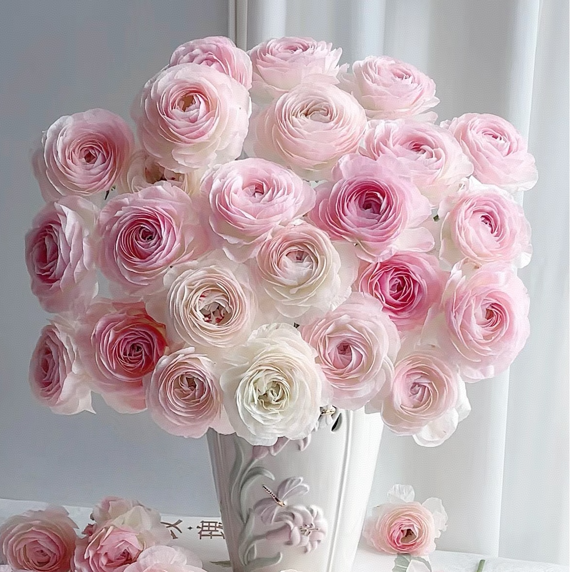 【独鬏鬏优选】云南鲜花 【精灵】洋牡丹 家居瓶插鲜花 顺丰配送