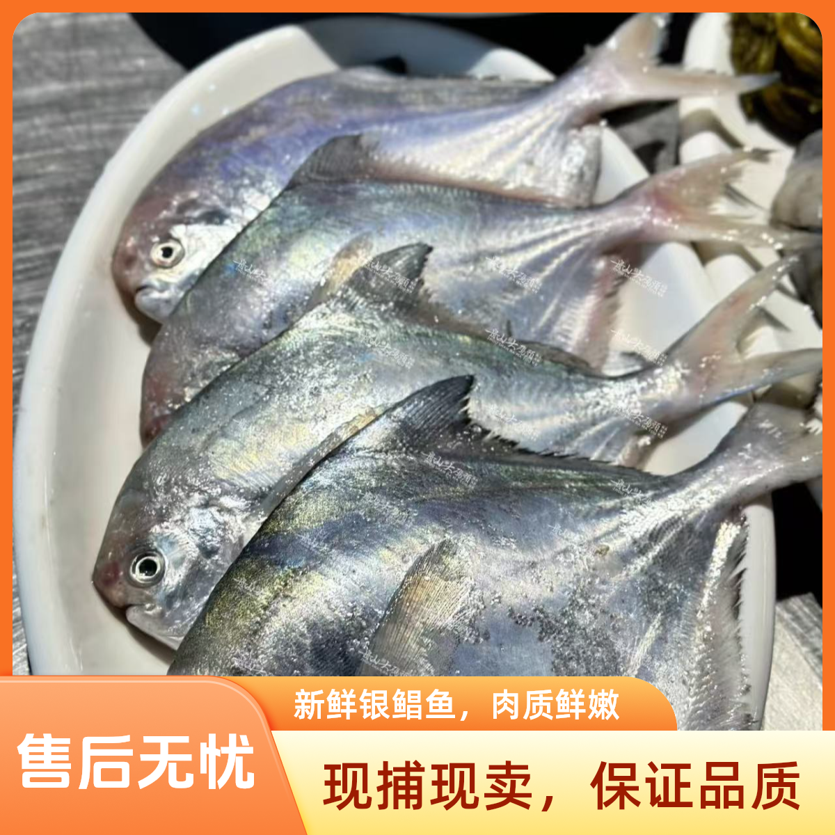 白鲳鱼 500g