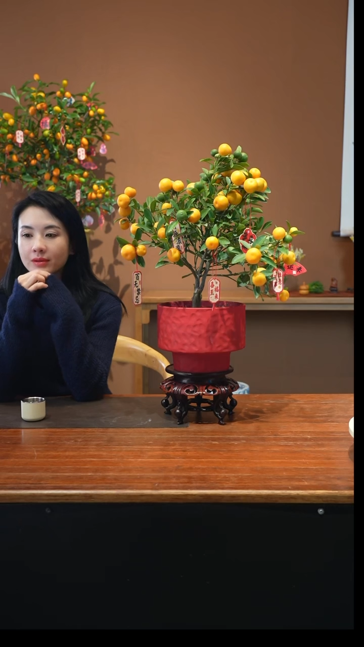 全部花朵小金橘红盆盆景盆景盆景