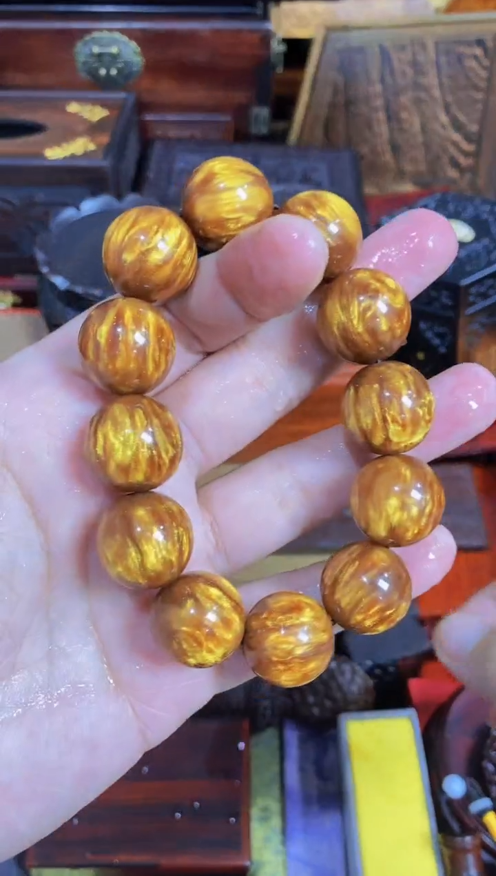 木质海柳2.0直播推荐直播推荐