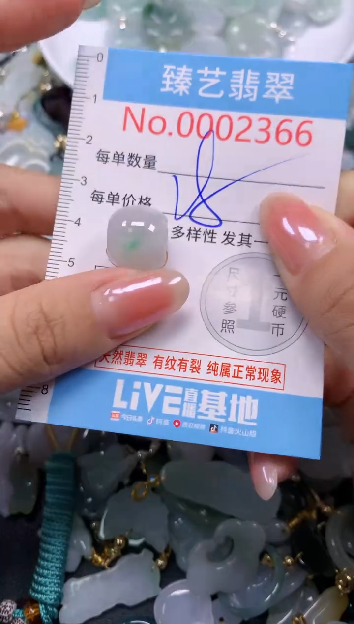 颈饰未镶嵌翡翠2366