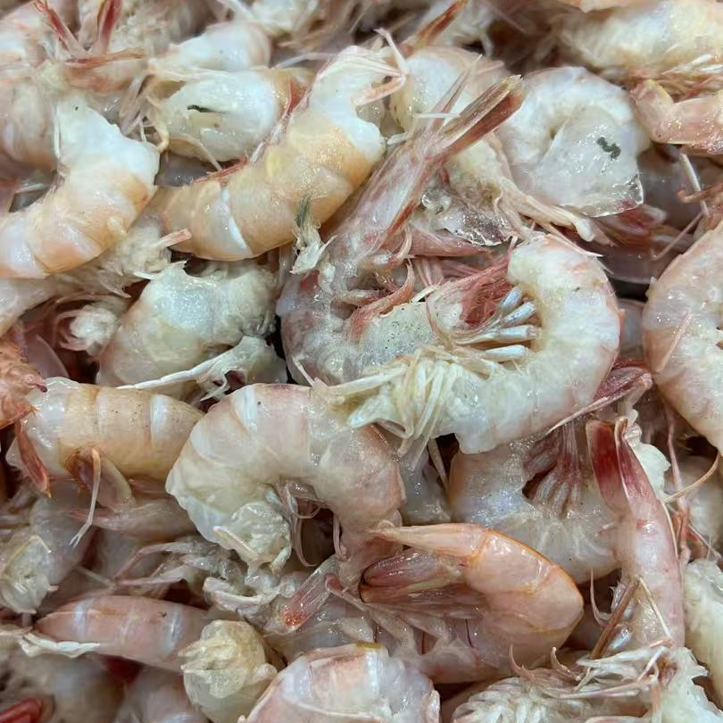 【去头铁皮虾】新鲜去头铁壳虾个头小介意勿拍海味浓郁