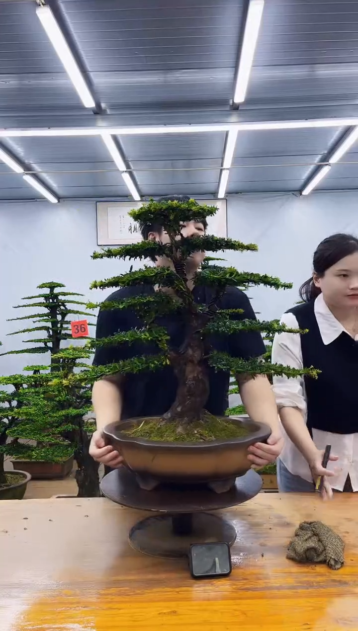 无花朵一物一拍，所见即所得
