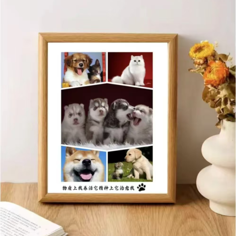 相框专属链接（拍这个）