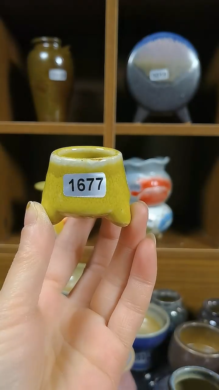 【闪购商品】红陶1677