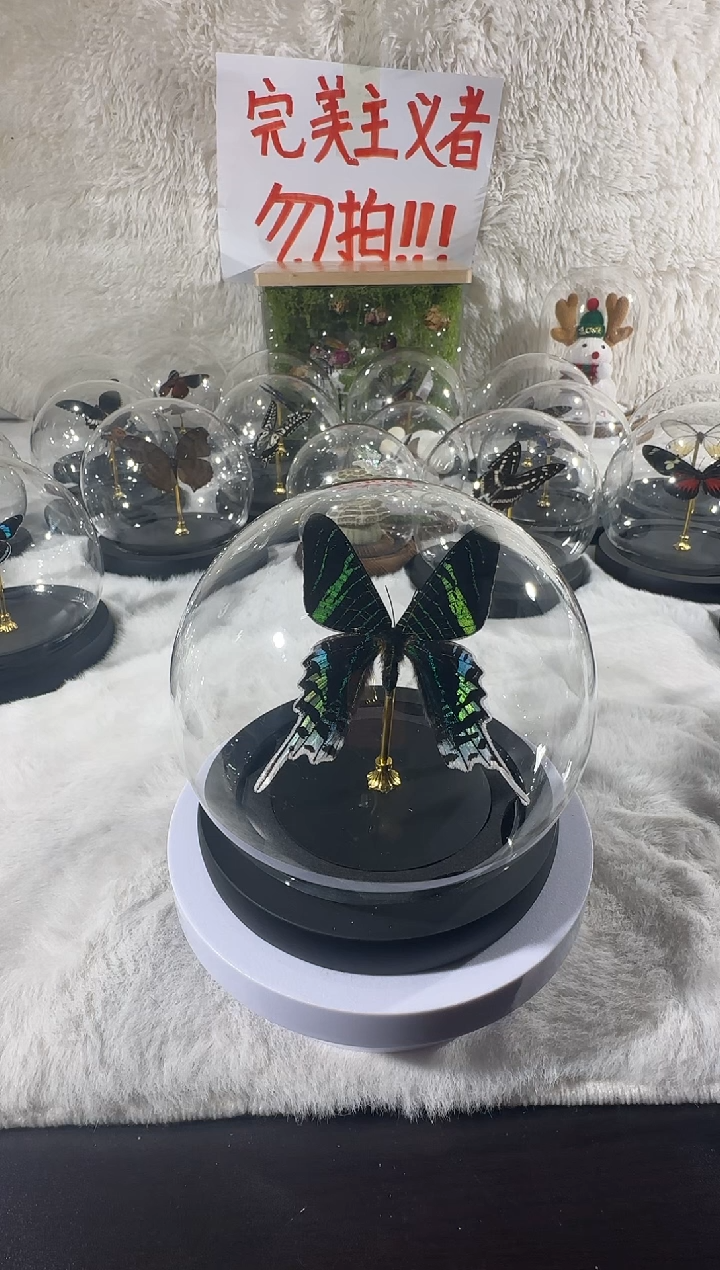 月亮额  水晶球  