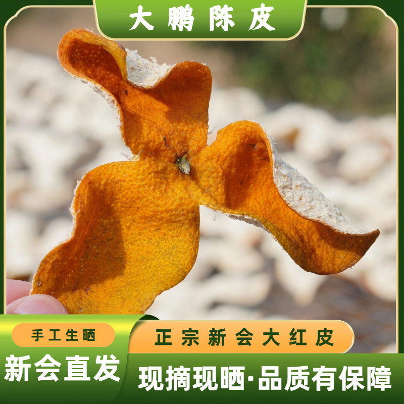 【新会大红皮】2025年新会陈皮大红新皮新鲜现摘生晒干皮
