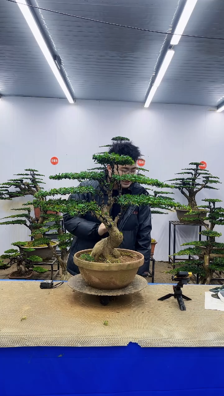 完全开放一物一拍，所见即所得