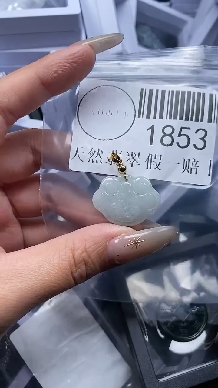 颈饰未镶嵌翡翠1853