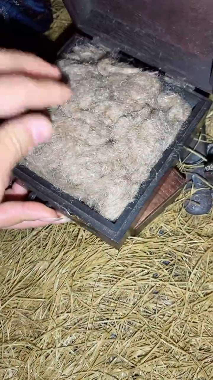 香榧木一一一一一福利