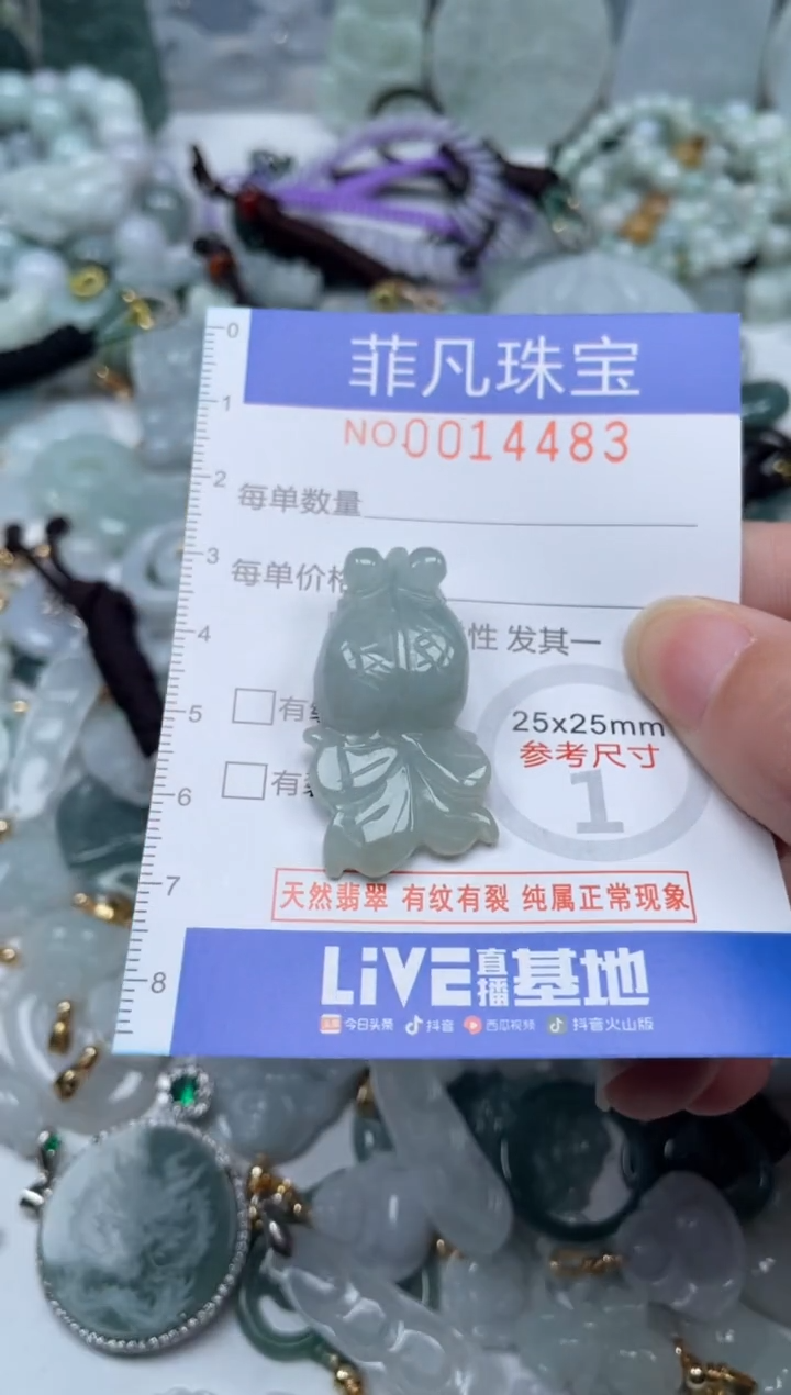 颈饰未镶嵌翡翠14483