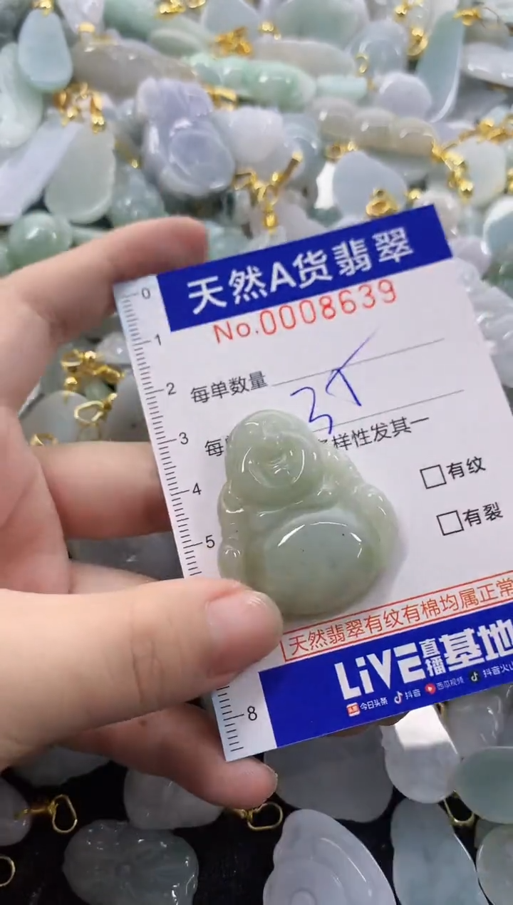 颈饰未镶嵌翡翠天然A货翡翠