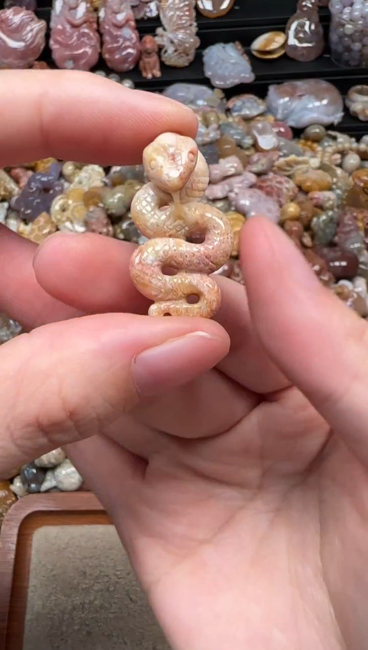 颈饰未镶嵌硅化珊瑚（珊瑚玉）823