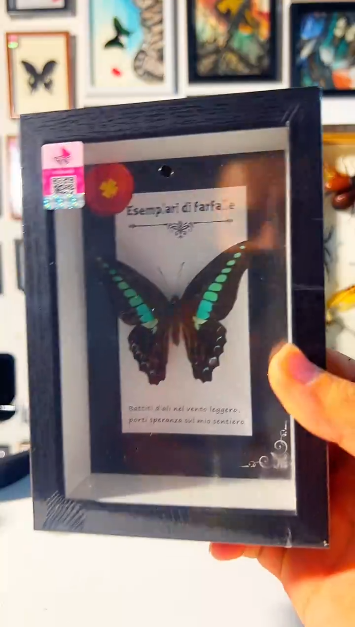 有机玻璃3867684532535