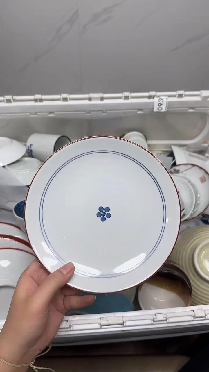 【闪购商品】6610回流瓷器默认微瑕，18.8包邮