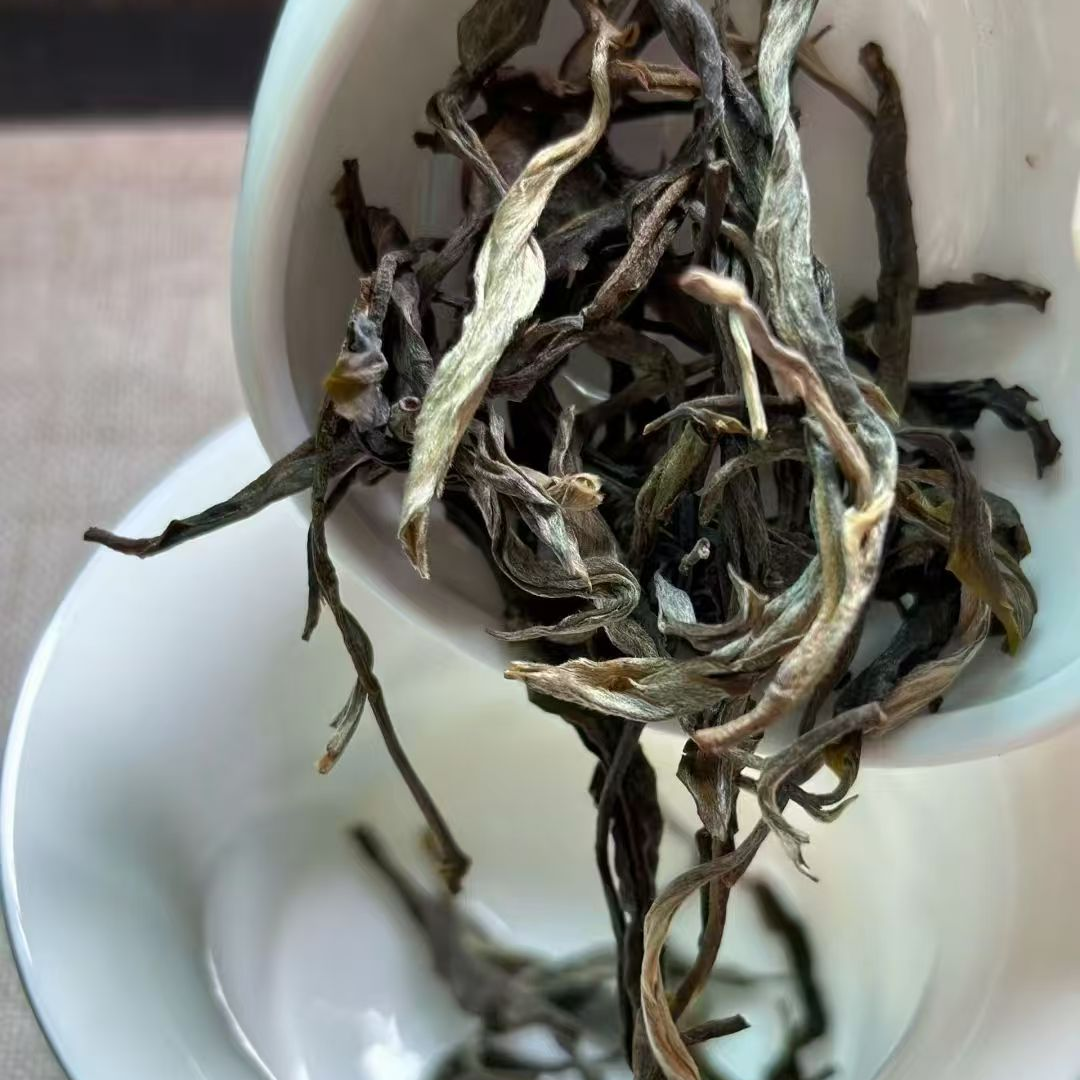 拙人冯【高货品鉴】2025年生普老班章古树纯料散茶30g