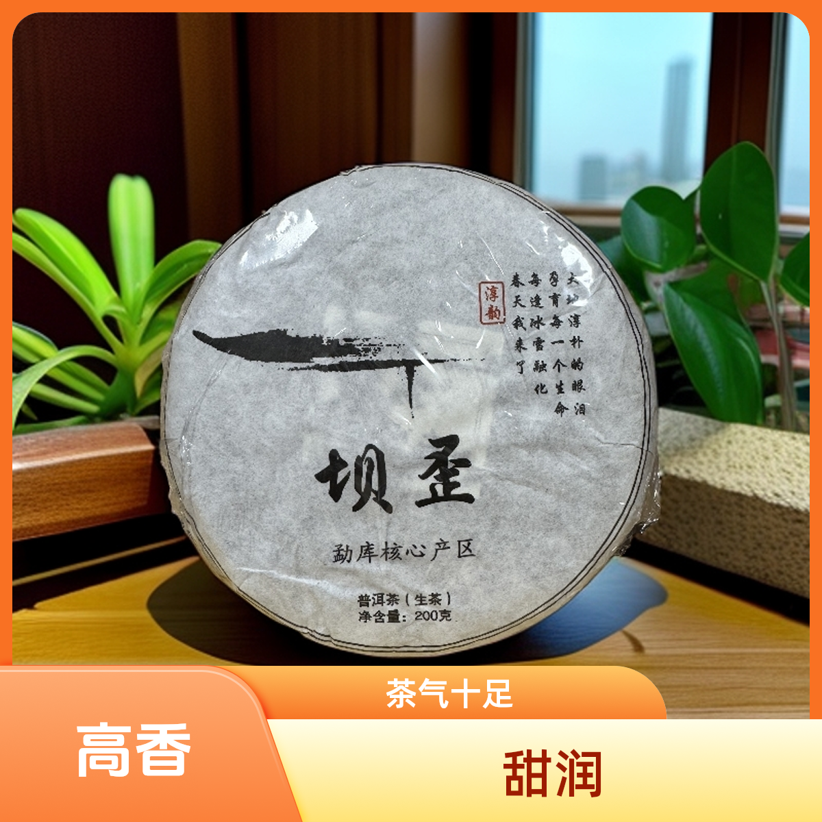2024年坝歪古树普洱生茶饼200/g