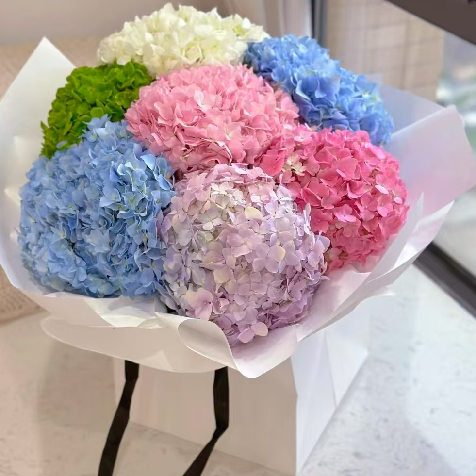 【一品花集】无尽夏【随机色绣球】云南昆明基地直发家用鲜花