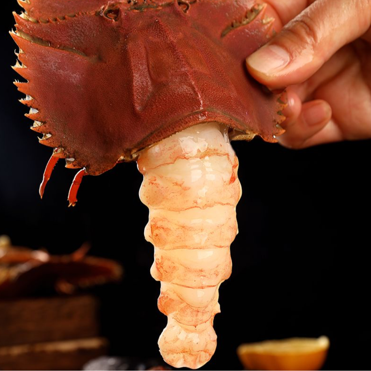 野生海捕琵琶虾 4-6个/斤 保鲜不保活 全国活发