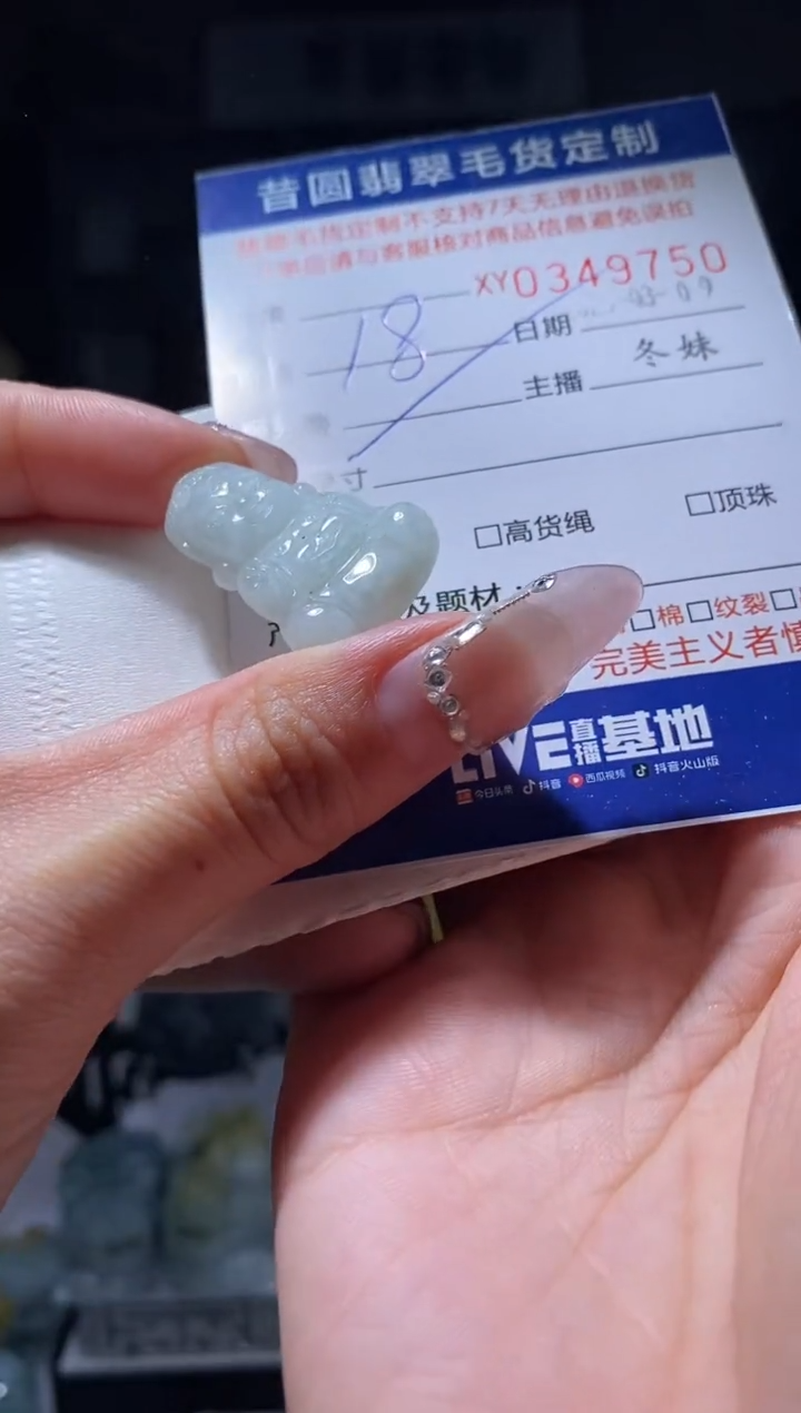 【闪购商品】翡翠颈饰未镶嵌翡翠3445翡翠3497