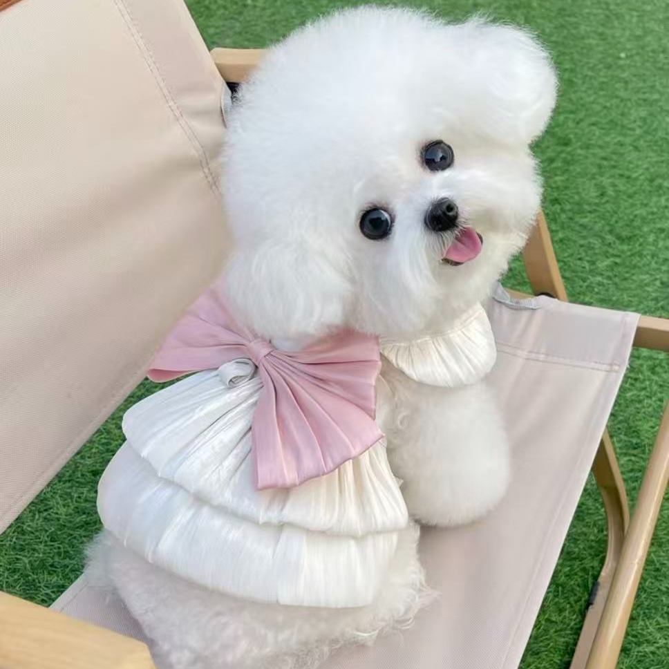 自选小型犬  泰迪比熊博美衣服hrb