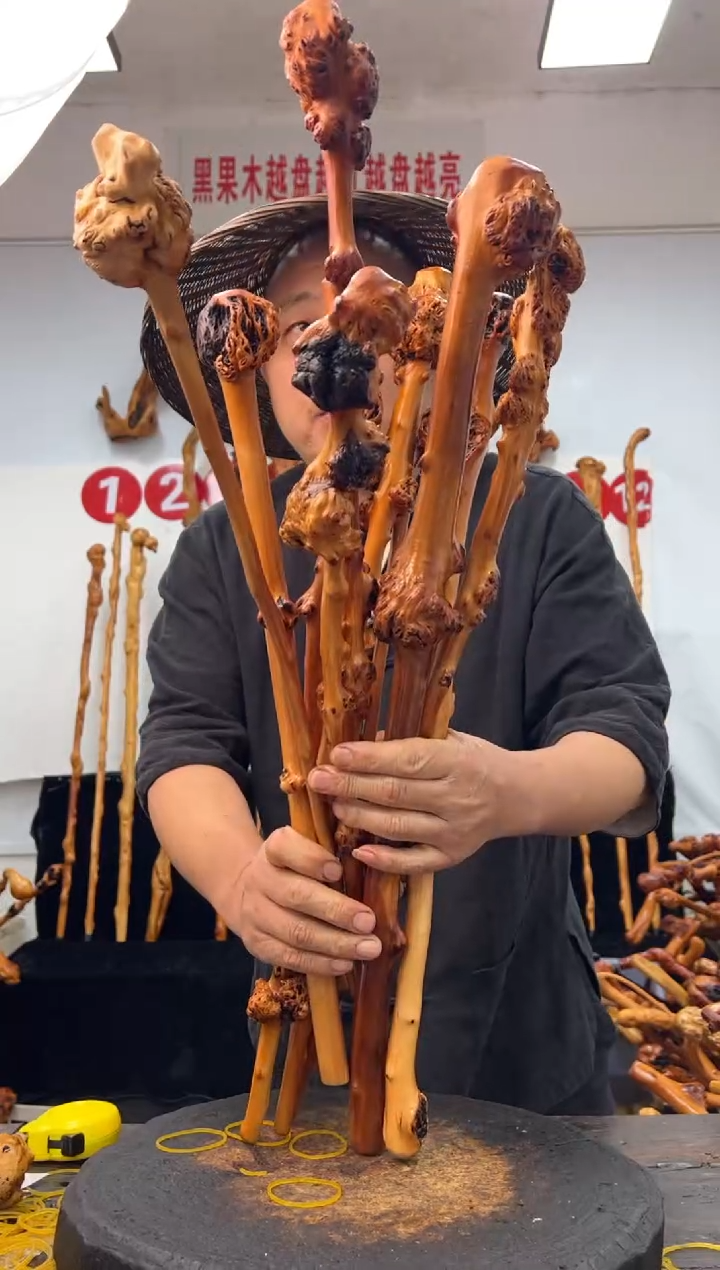 黑果木其他黑果木856