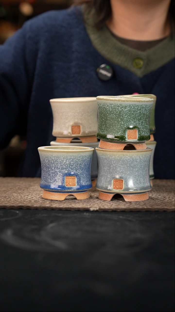 口径6花盆12-30-296混发一个默认有瑕